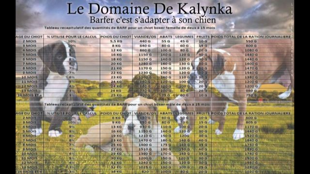 Du Domaine De Kalynka - tableau BARF 